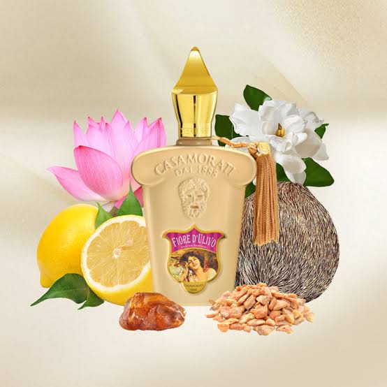 Xerjoff Casamorati Fiore d’Ulivo EDP – Дамски парфюм Без Опаковка - Xerjoff.bg